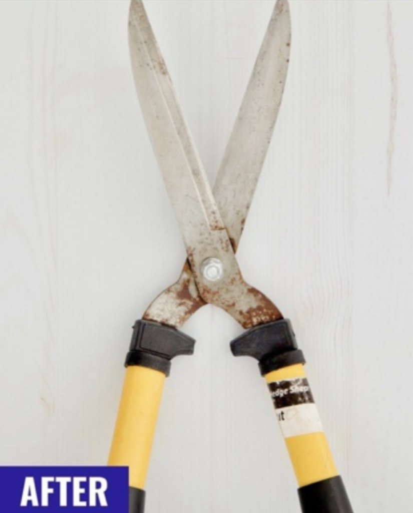 Cleaning Gardening Tools - One Good Thing by Jillee - After Pic