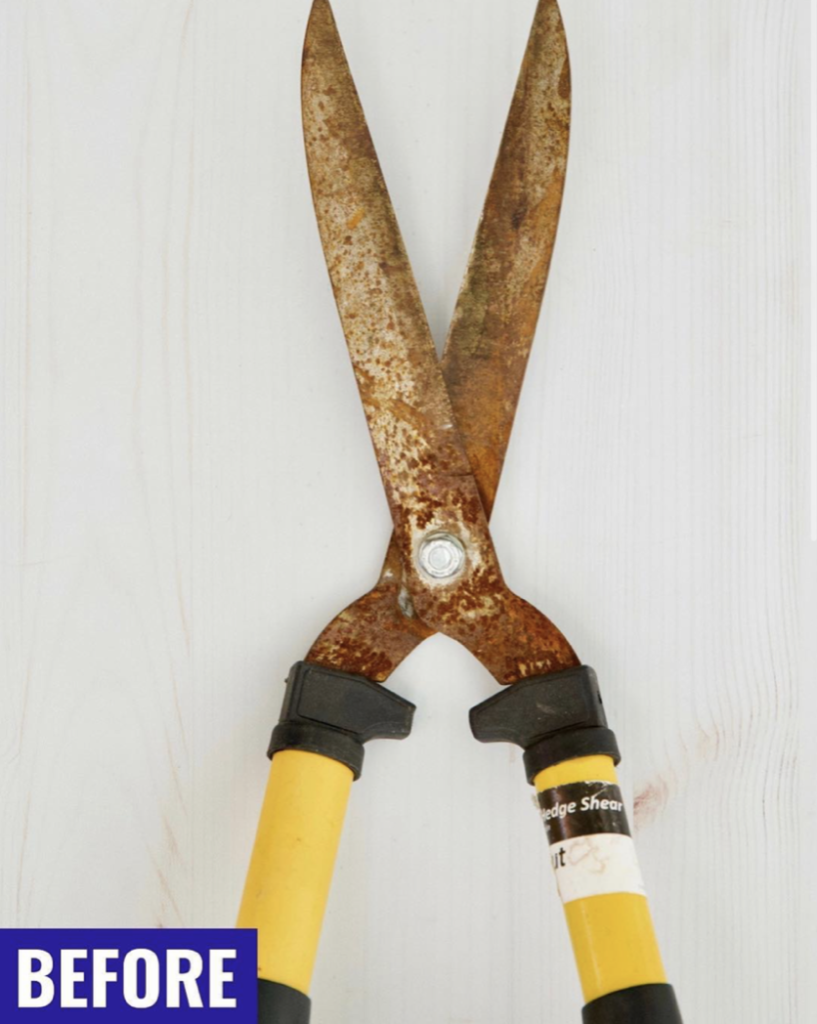 Cleaning Gardening Tools - One Good Thing by Jillee - Before Pic