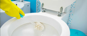 Toilet Cleaner - How to Clean Toilet Bowl - Featured Image